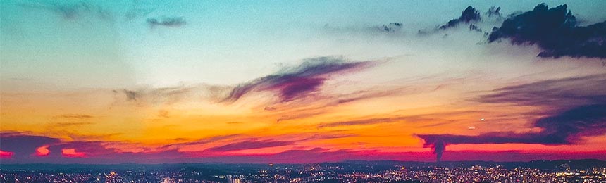 齐河茶虫网_齐河品茶